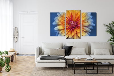 Ljuddämpande tavla - Chrysanthemum flower close