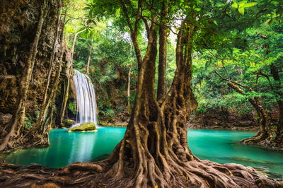 Ljuddämpande tavla - Erawan waterfalls