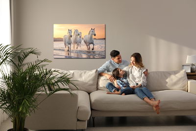 Ljuddämpande tavla - Horses by the mediterranean