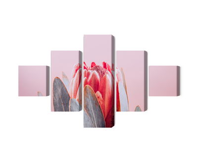 Ljuddämpande tavla - Flower of the royal protéa