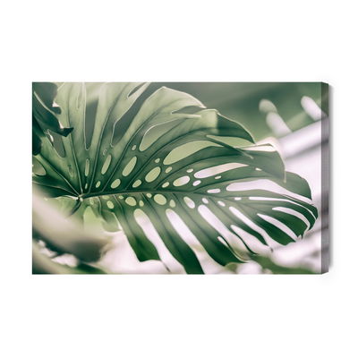 Ljuddämpande tavla - Monstera leaf close up