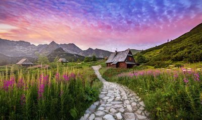 Ljuddämpande tavla - Hala gasienicowa