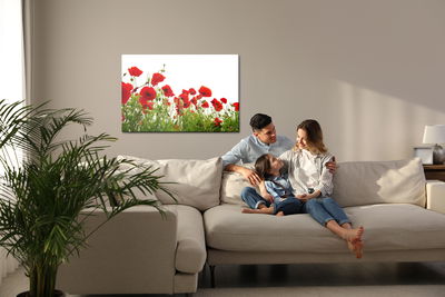 Ljuddämpande tavla - Red poppies on a white