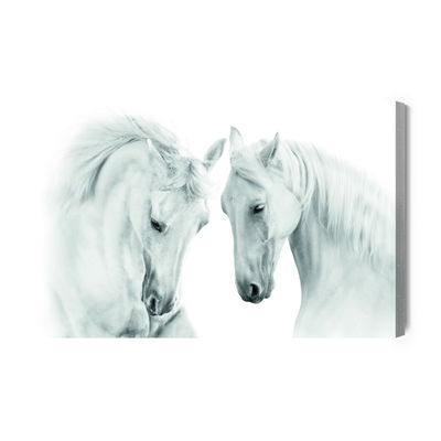 Ljuddämpande tavla - Two white horses