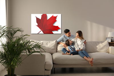 Ljuddämpande tavla - Red maple leaf