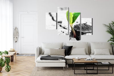 Ljuddämpande tavla - 3d plant sprouting