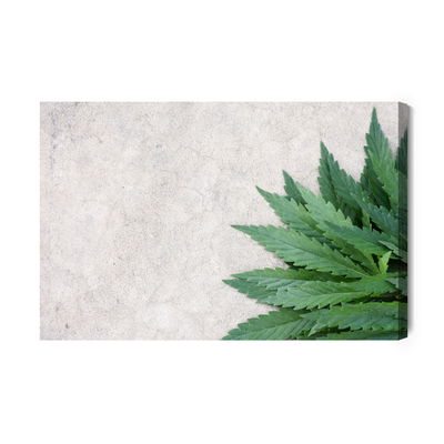 Ljuddämpande tavla - Green leaves on a gray