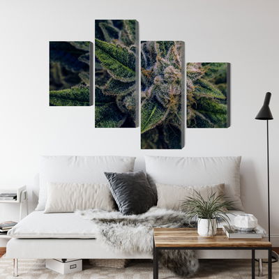 Ljuddämpande tavla - Cannabis plant close up