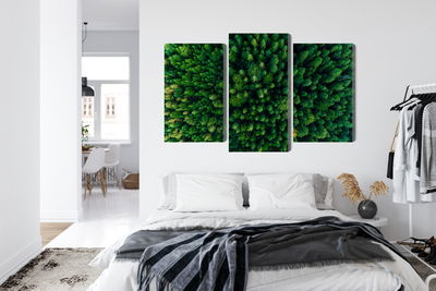 Ljuddämpande tavla - Aerial view of the green