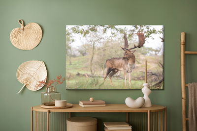 Ljuddämpande tavla - Adult deer with magnificent