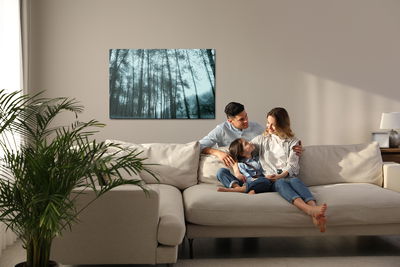 Ljuddämpande tavla - Birch tree forest