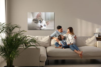 Ljuddämpande tavla - Dreamy kitten