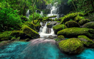 Ljuddämpande tavla - A beautiful waterfall