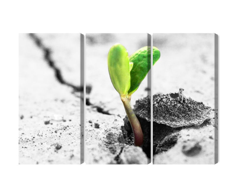 Ljuddämpande tavla - 3d plant sprouting