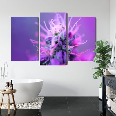 Ljuddämpande tavla - Macro plant on a pink-purple