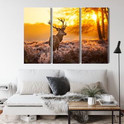 Ljuddämpande tavla - Deer in the forest at sunset