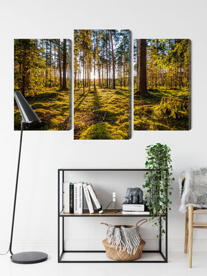 Ljuddämpande tavla - 3d sunny forest landscape