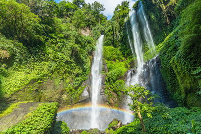 Ljuddämpande tavla - Sekumpul waterfall in bali