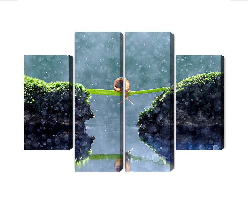 Ljuddämpande tavla - Snail in the rain