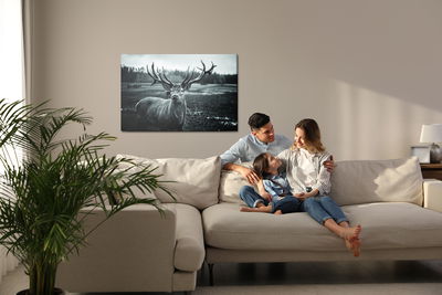 Ljuddämpande tavla - Black and white deer