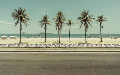 Ljuddämpande tavla - Palm trees on the ipanema