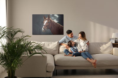 Ljuddämpande tavla - Horse on the background