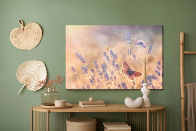 Ljuddämpande tavla - Butterflies among lavender