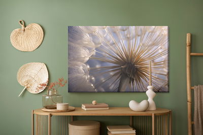 Ljuddämpande tavla - Dandelion close up