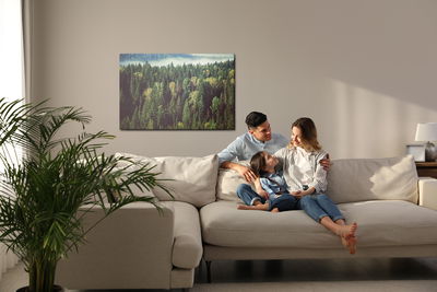 Ljuddämpande tavla - Forest with fog