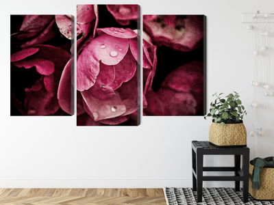 Ljuddämpande tavla - Peony flowers close up 3d