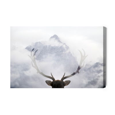 Ljuddämpande tavla - A deer looking