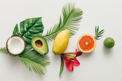 Ljuddämpande tavla - Colorful tropical fruit