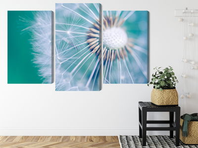 Ljuddämpande tavla - Dandelion on a macro scale