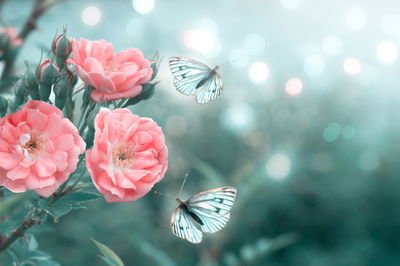 Ljuddämpande tavla - Delicate flowers and 3d