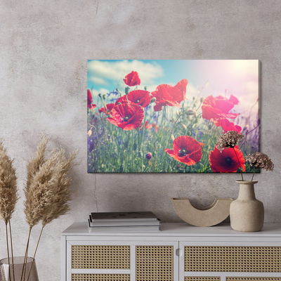 Ljuddämpande tavla - Poppies in the sun