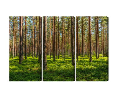 Ljuddämpande tavla - 3d pine forest