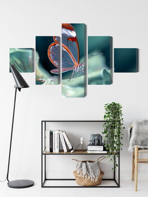 Ljuddämpande tavla - Glass-winged butterfly close