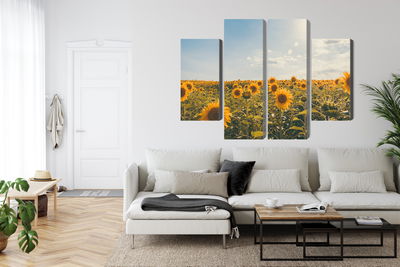 Ljuddämpande tavla - Sunflower field on a summer