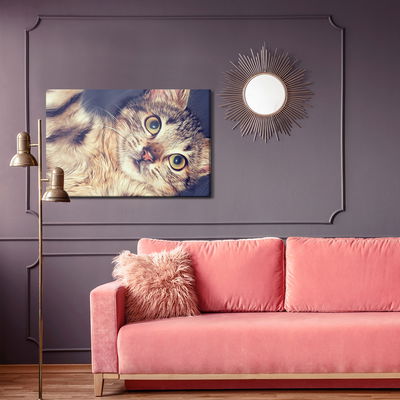 Ljuddämpande tavla - A beautiful feline portrait