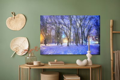 Ljuddämpande tavla - Winter in the park
