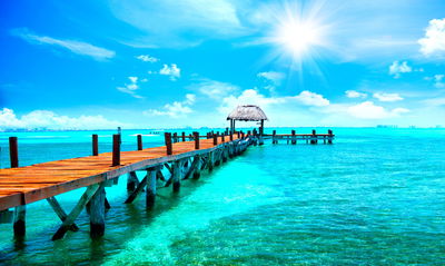 Ljuddämpande tavla - Sunny landscape