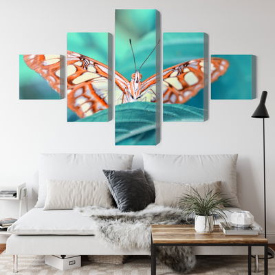 Ljuddämpande tavla - Butterfly on a leaf in macro