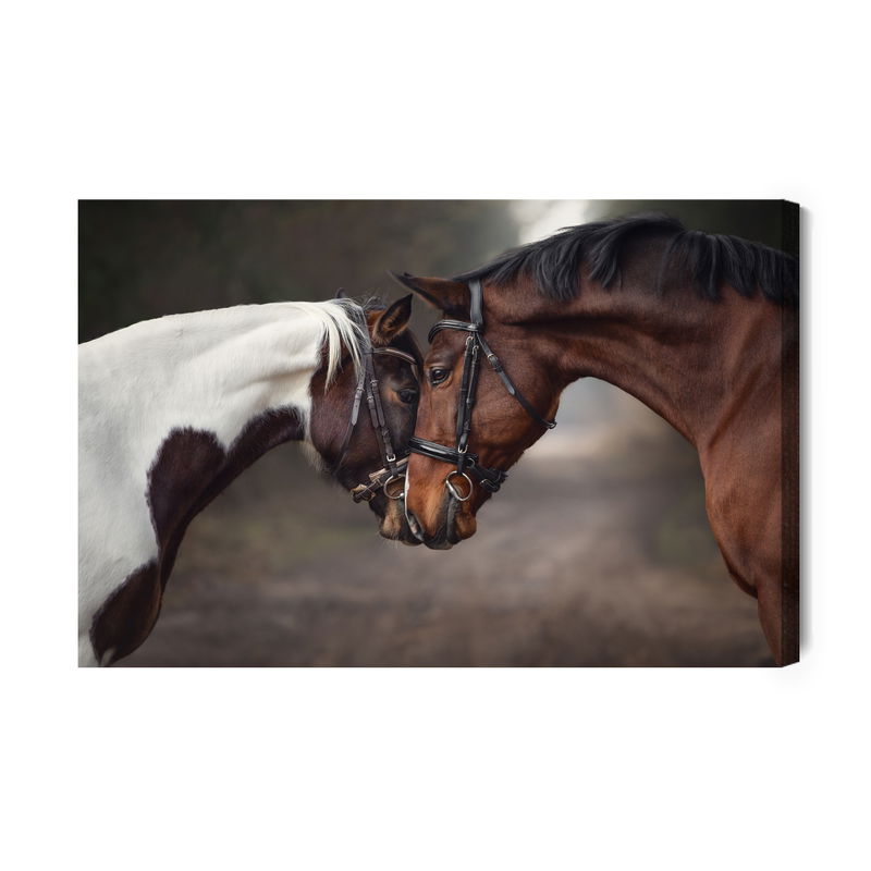 Ljuddämpande tavla - Beautiful horses in the woods