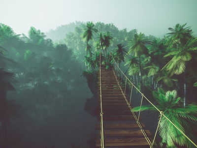 Ljuddämpande tavla - Rope bridge in the jungle 3d