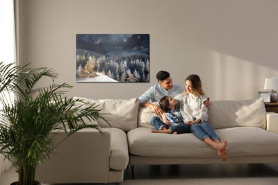 Ljuddämpande tavla - Winter forest at night