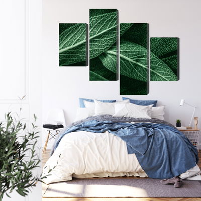 Ljuddämpande tavla - Salvia leaves on a macro