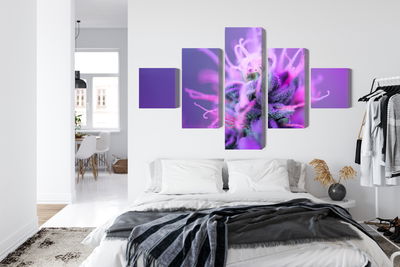 Ljuddämpande tavla - Macro plant on a pink-purple