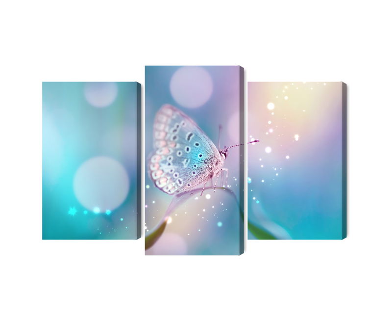 Ljuddämpande tavla - A delicate butterfly