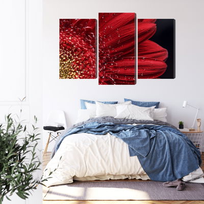 Ljuddämpande tavla - Flower petals on a macro