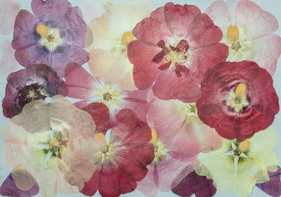 Ljuddämpande tavla - Beautiful colorful flowers